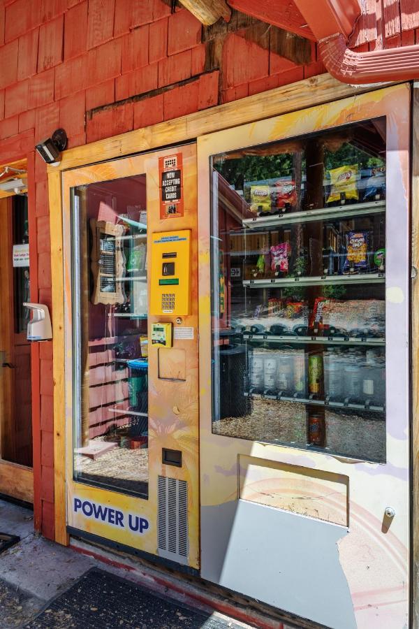 Hicksville Pines Chalets & Motel Idyllwild Bagian luar foto