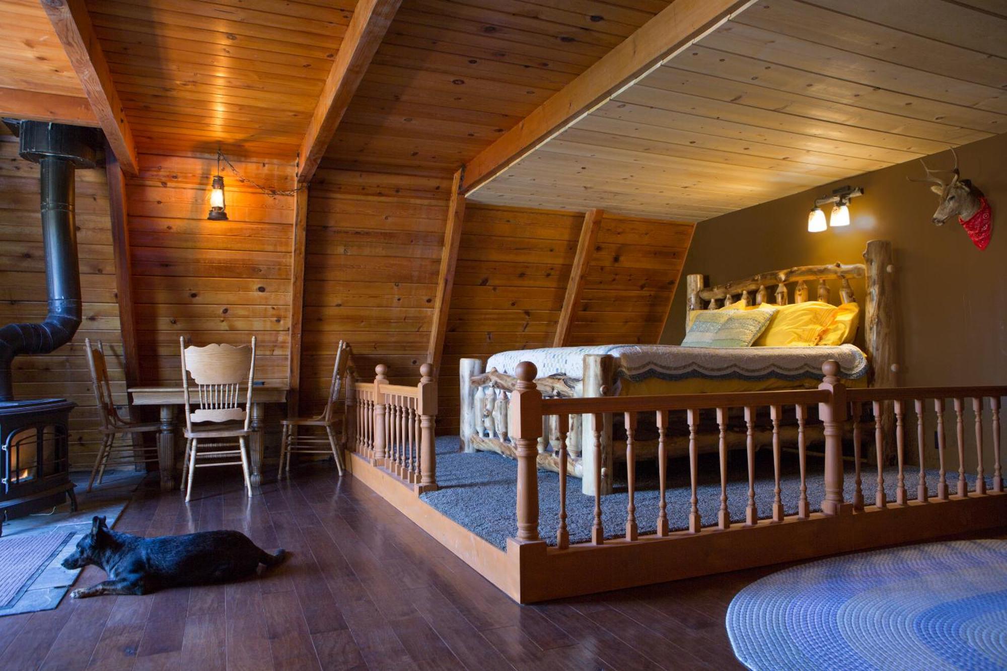 Hicksville Pines Chalets & Motel Idyllwild Bagian luar foto